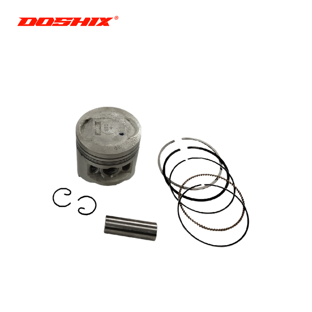 PISTON KIT WITH RING